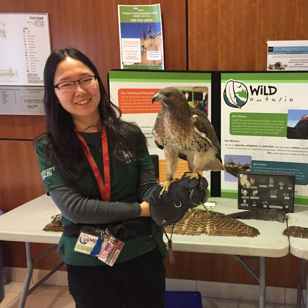 A university student standing at an educational display with a hawk.