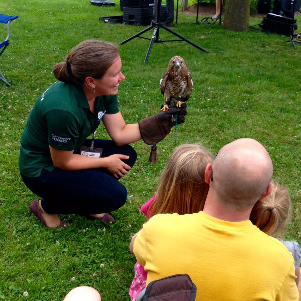 a woman shows a hawk to a family with young children
