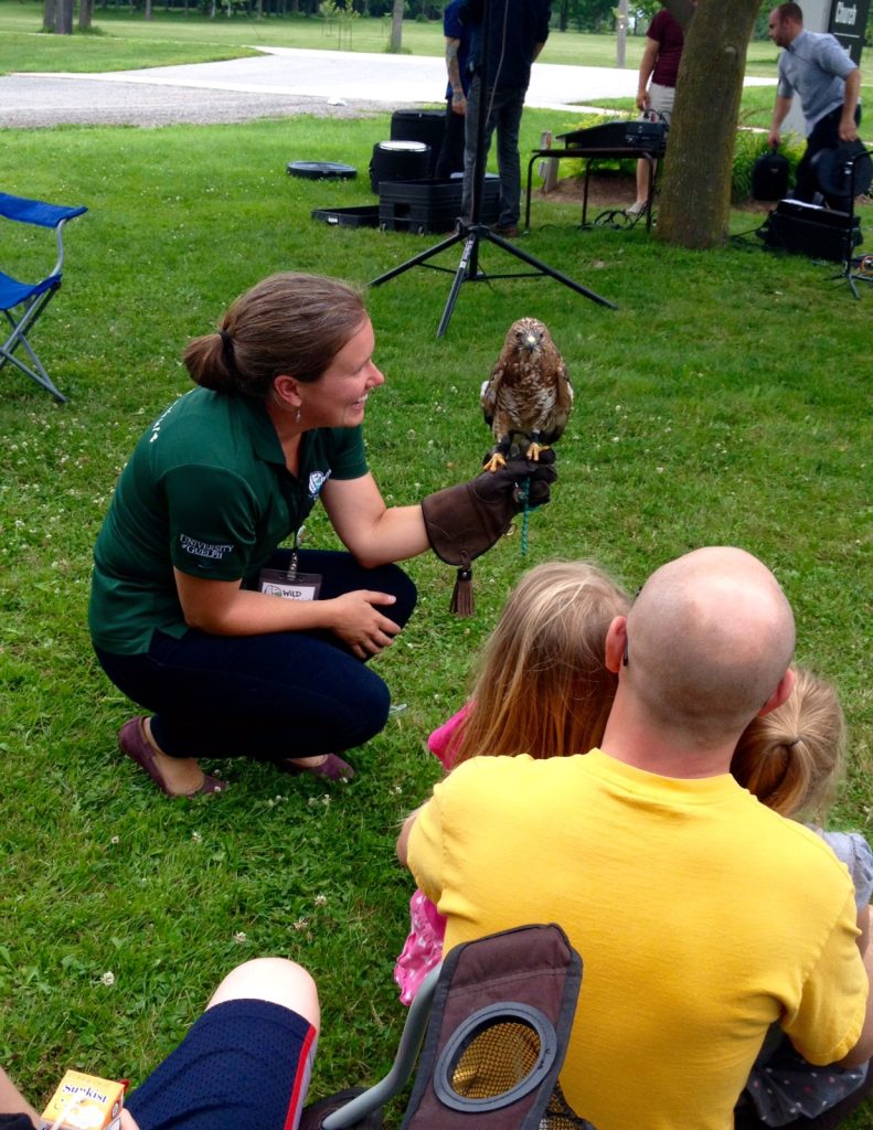 a handler shows a hawk to a family with young children
