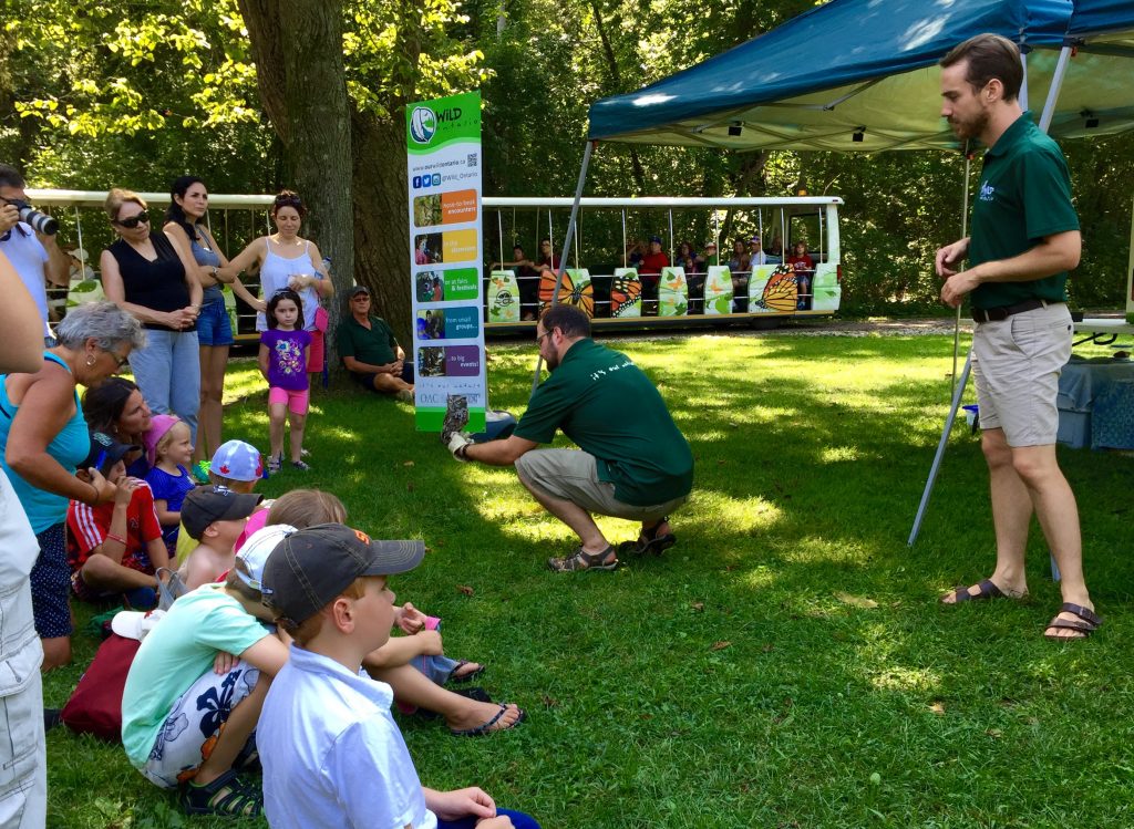 presenters show a small owl to a crowd gathered at a park