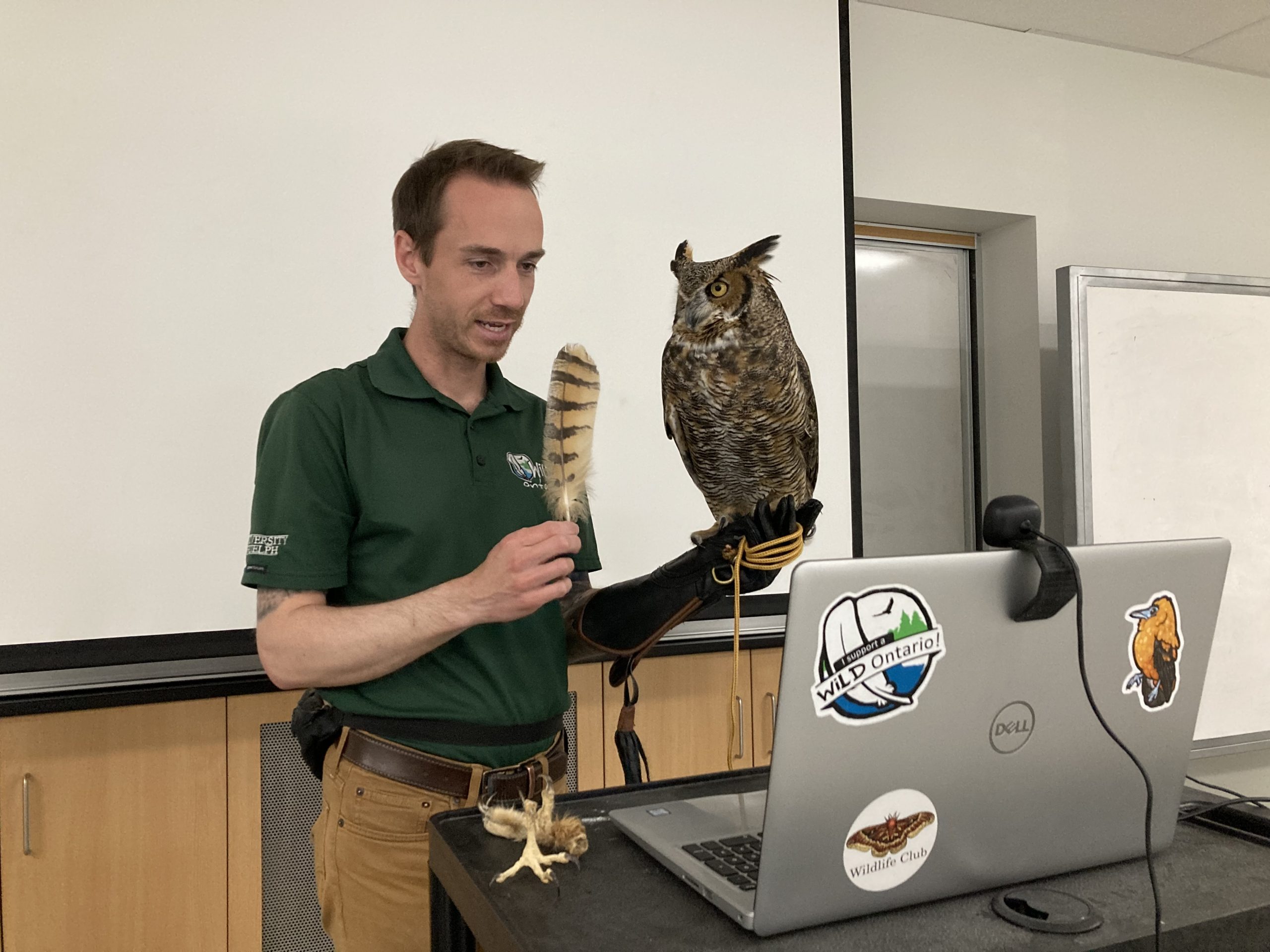 a man with an owl speaks to a laptop with a camera
