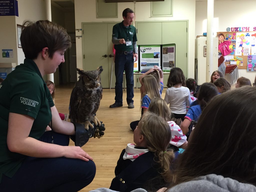 educators show a great horned owl to a group of girl guides