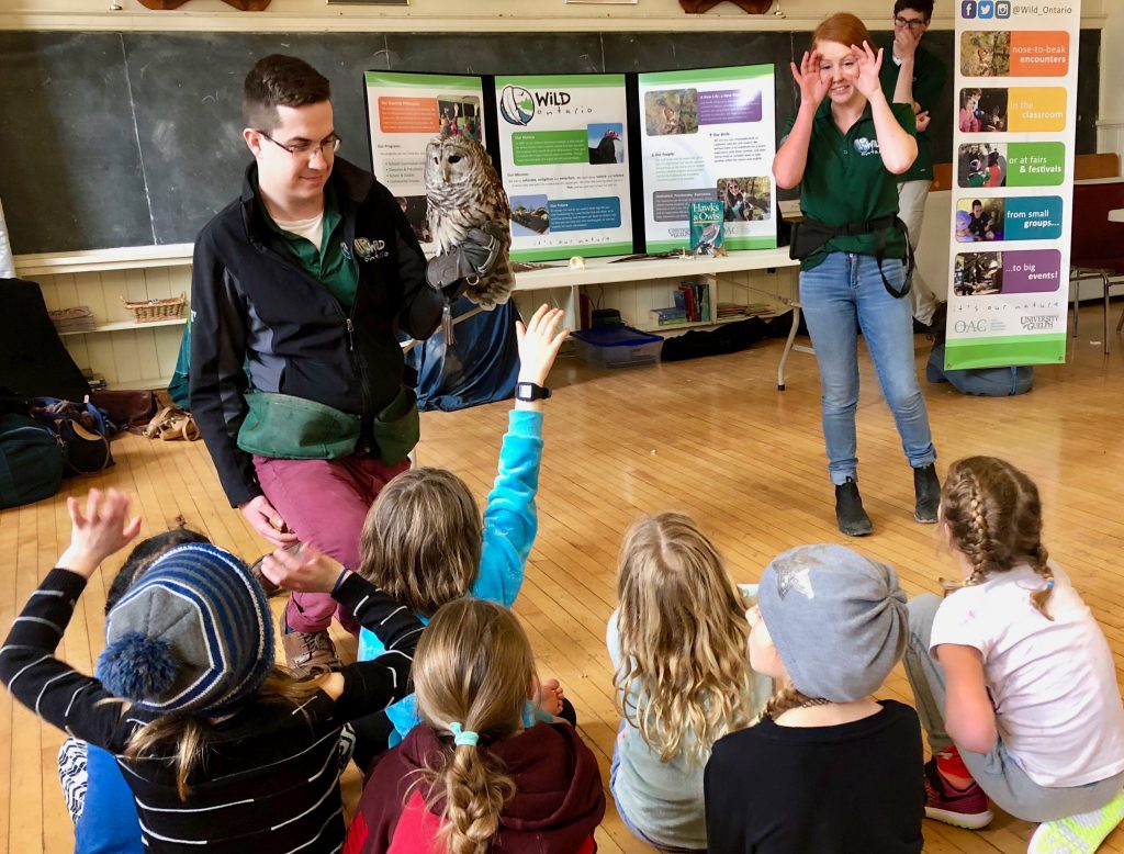 educators teach eager kids about a barred owl