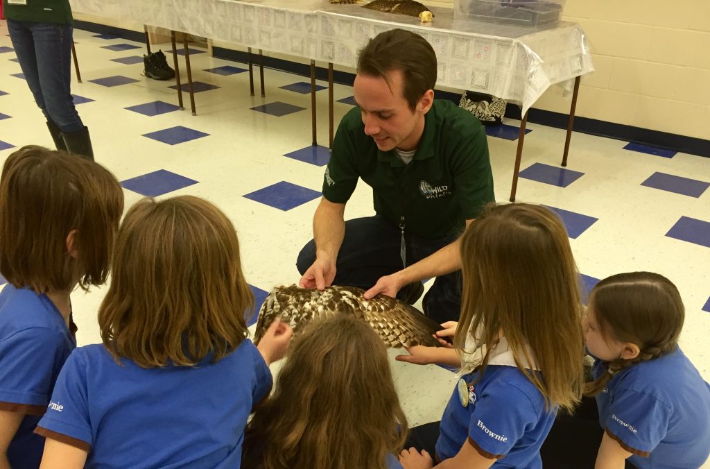 a man shows a hawk wing to a group of girl guides