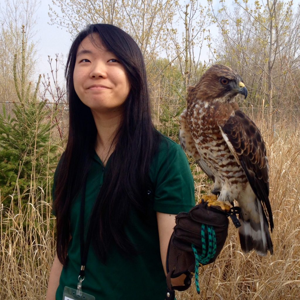 a university student poses with a hawk